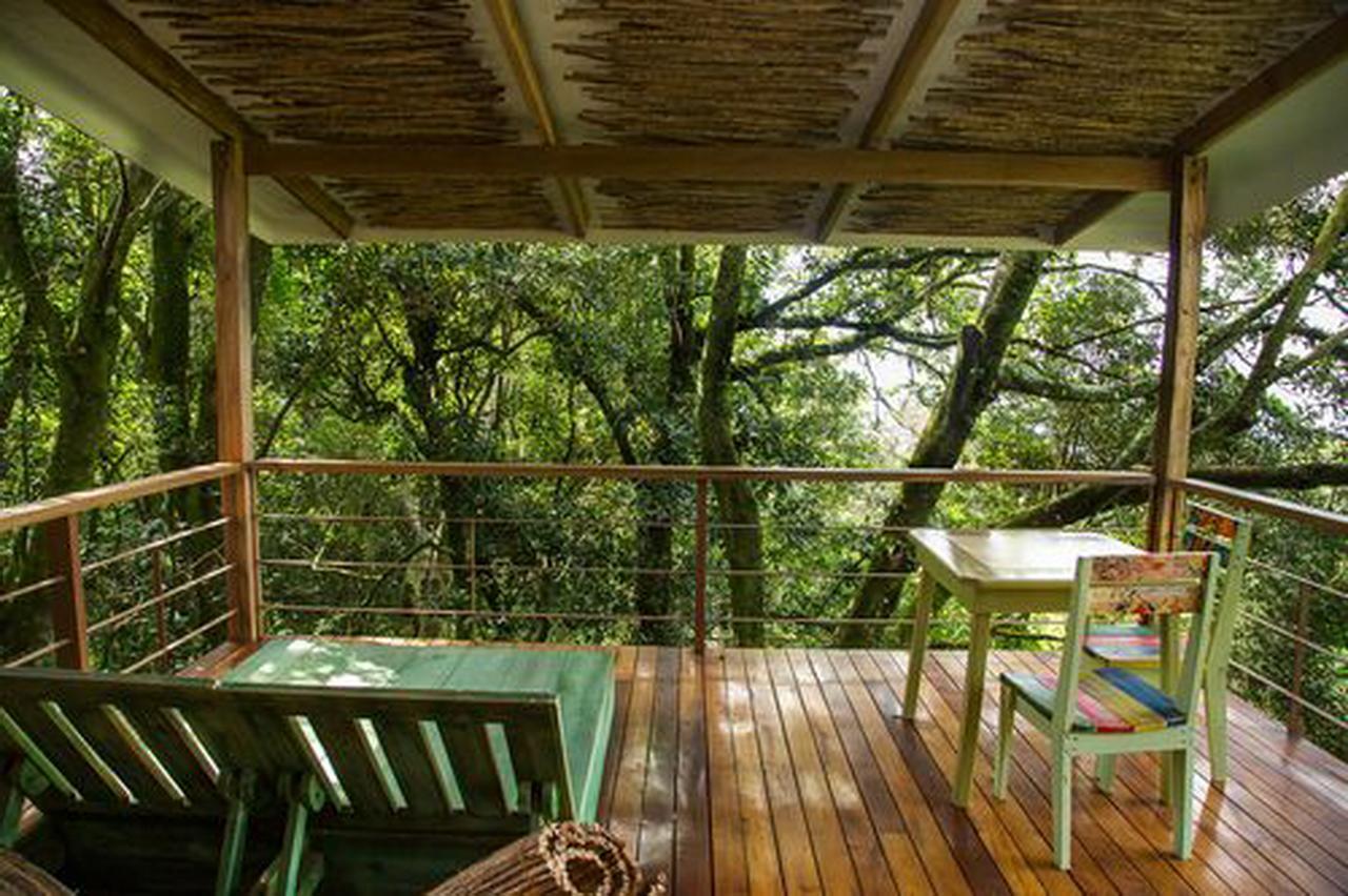 Chayote Lodge Zarcero Екстер'єр фото